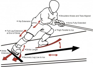 Stride Mechanics A Quick Hockey Development Starting Guide